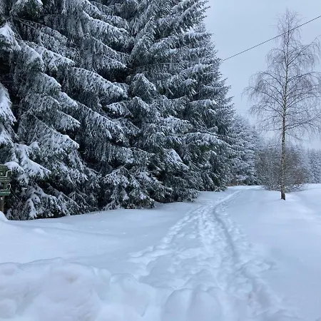 Διαμέρισμα Schepkowski