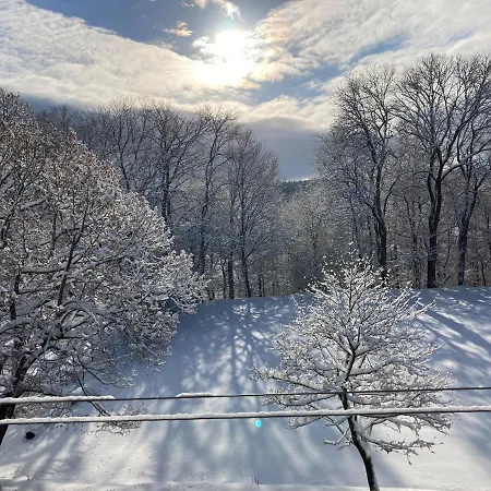 Διαμέρισμα Schepkowski Grossbreitenbach