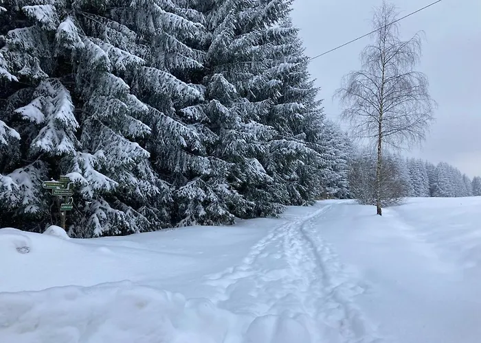 Διαμέρισμα Schepkowski