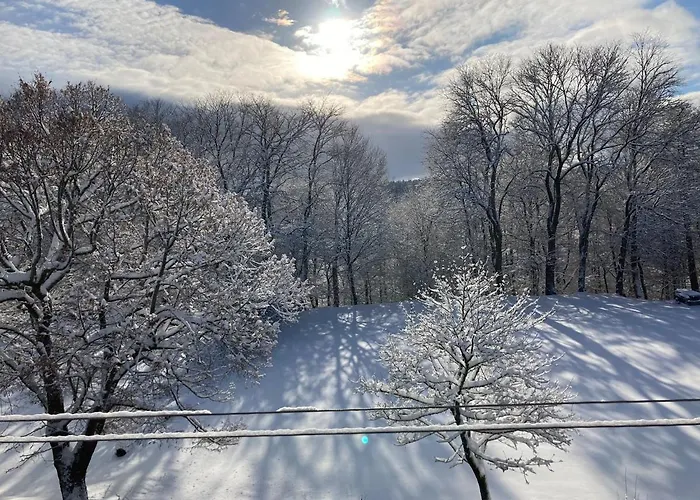 Apartman Schepkowski Grossbreitenbach